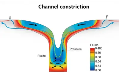 Analyse de l’Effet d’un Rétrécissement de Canal